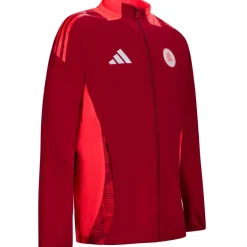 AS Roma Felpa Allenamento Coach Full Zip , Rossa, Uomo Hot